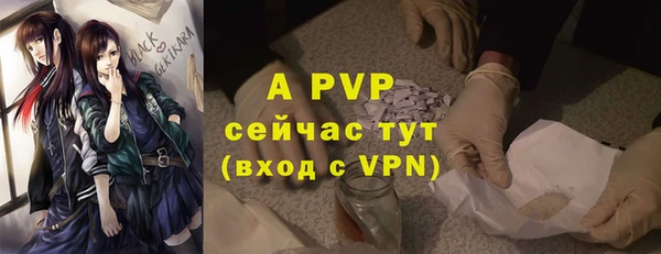 твердый Белокуриха