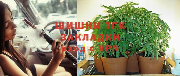 дурь Аркадак