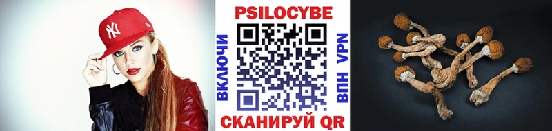Купить где  Зарайск  Галлюциногенные грибы ЛСД 
