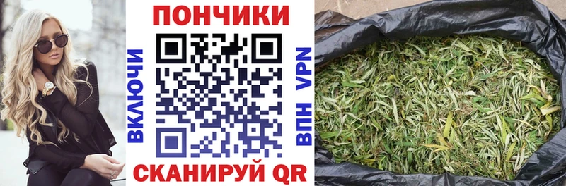 Купить закладки  Зарайск  Конопля конопля 